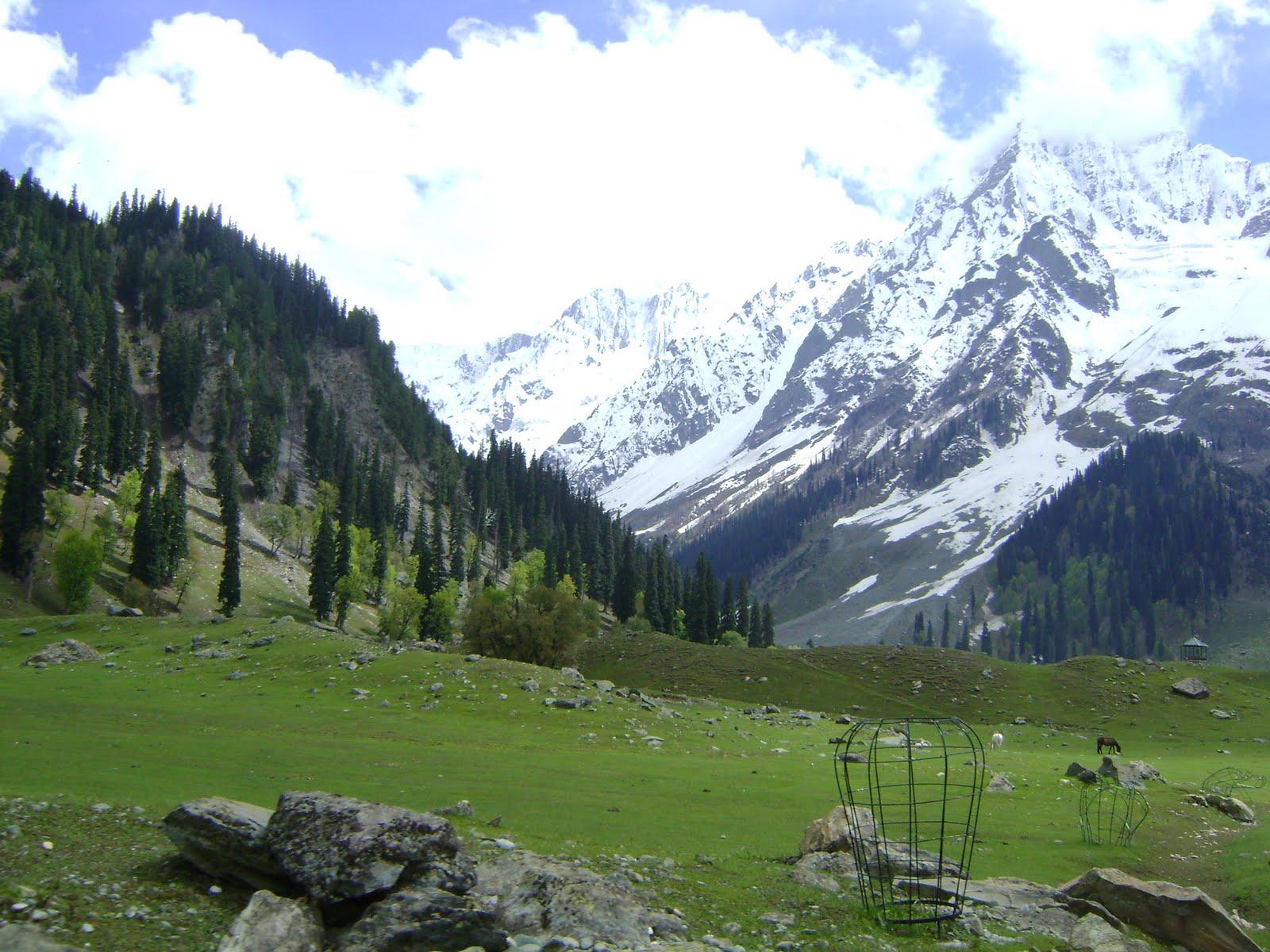 Image Description