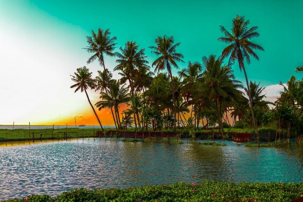 Alleppey Tour packages