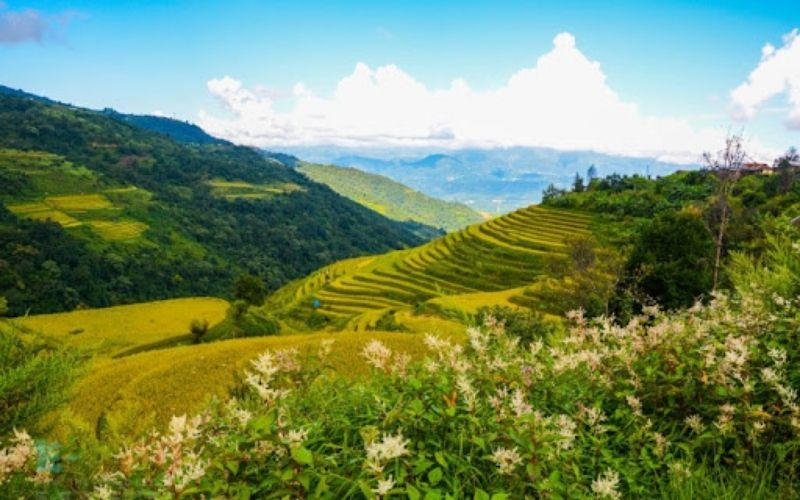 Why Travel Darjeeling?