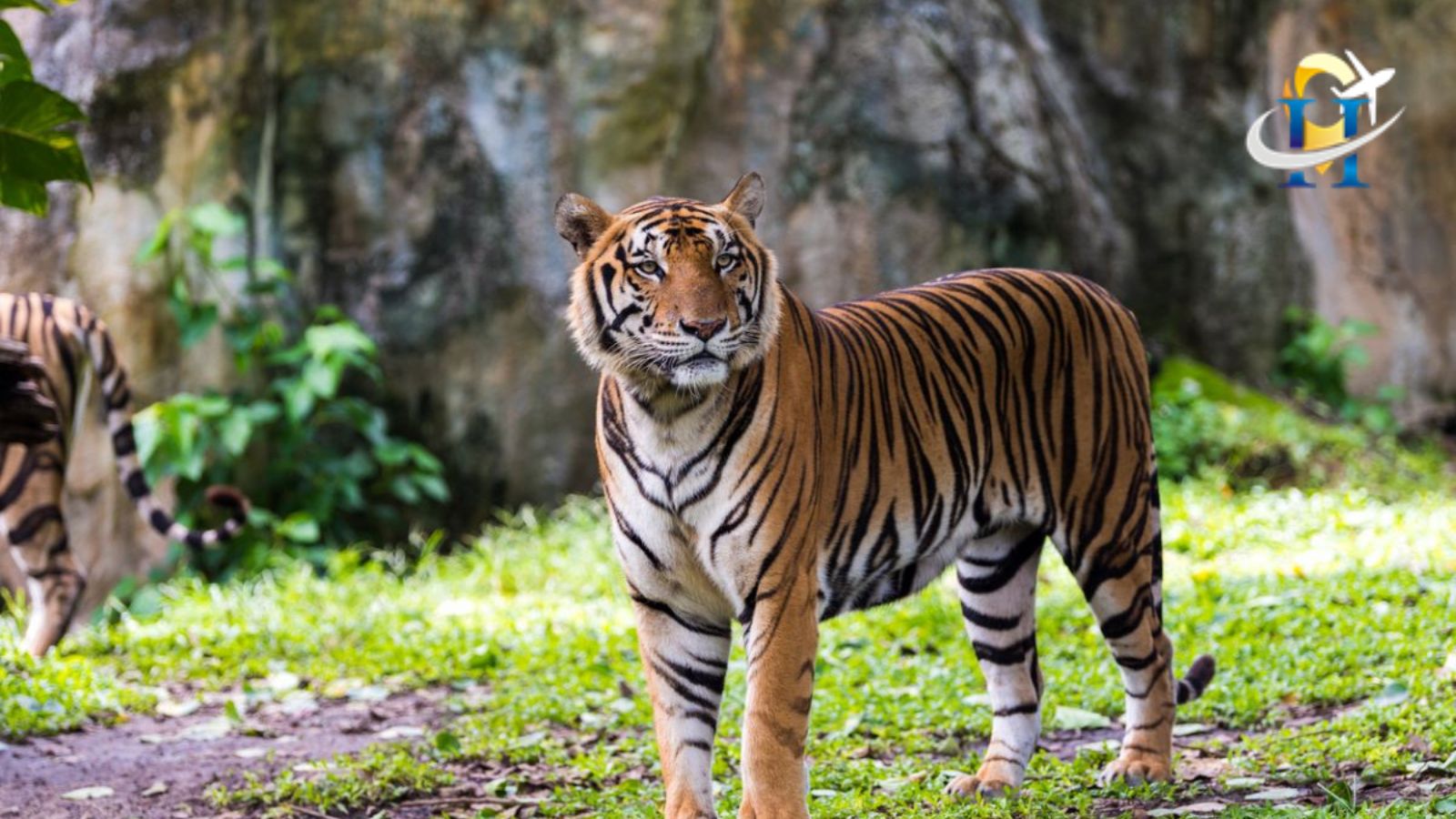 Jim Corbett National Park: Open Safari Tour Corbeter Zone