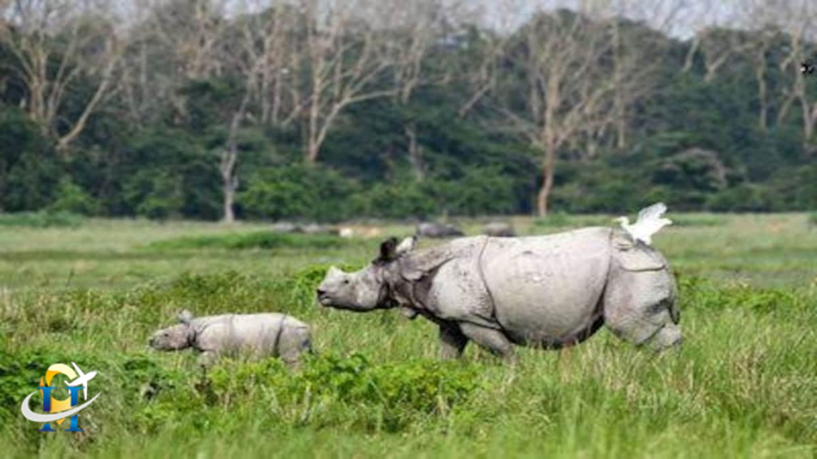 Probitora Wildlife Sactuary reopens after Monsoons 27 October