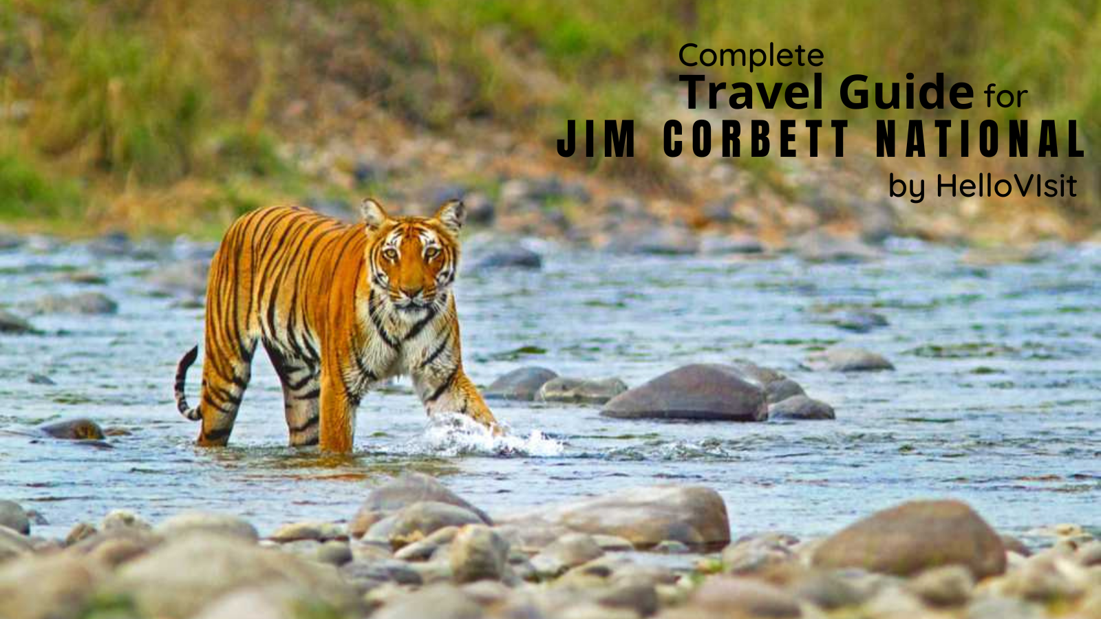 Jim Corbett National Park-Uttarakhand Tour and Travel Guide