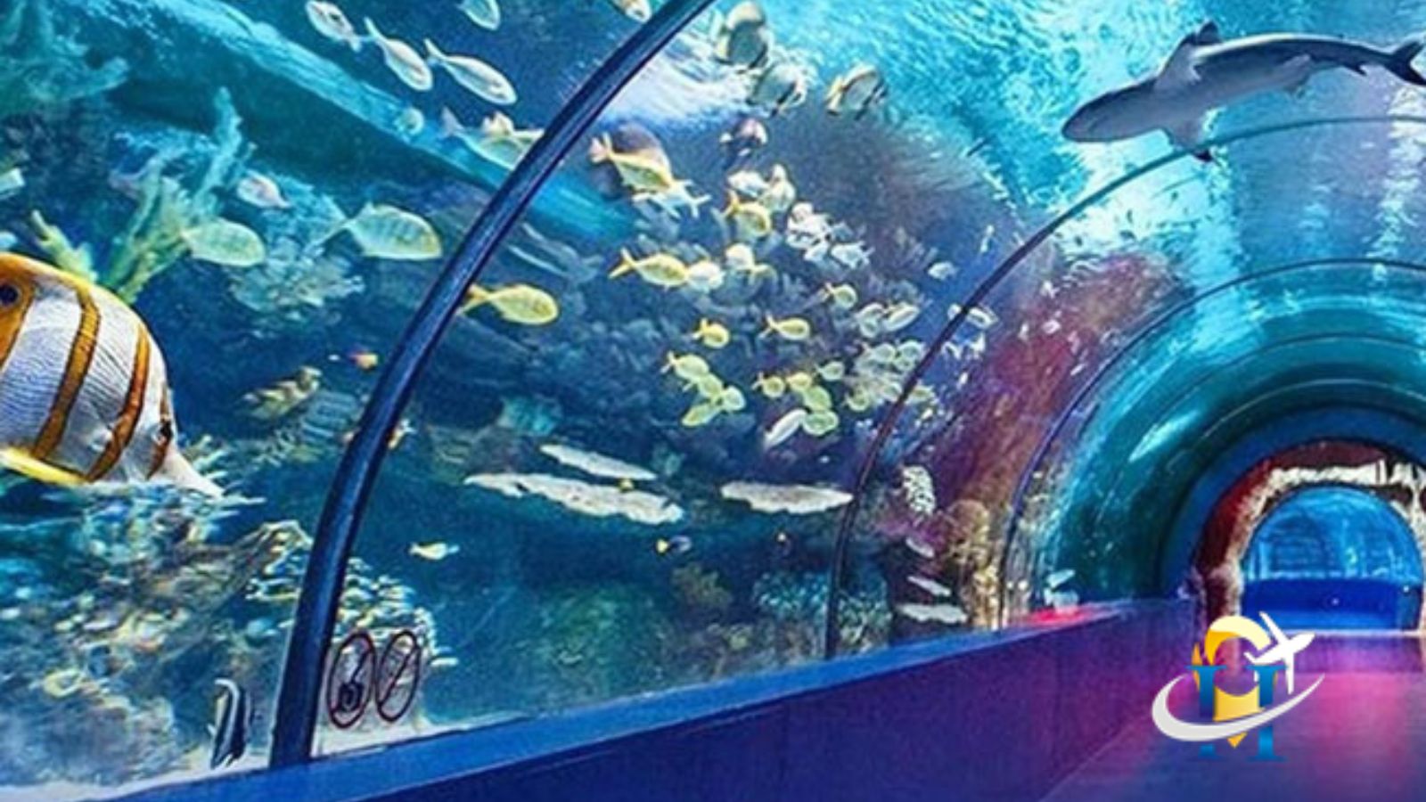 Northeast's First Fish Museum to set in Arunachal Pradesh