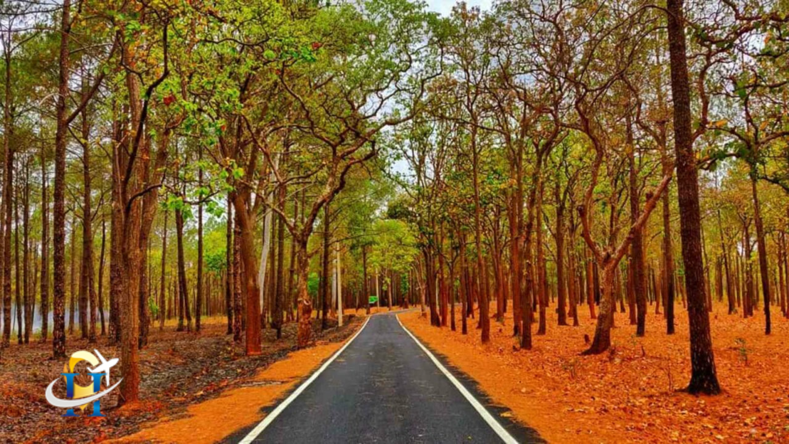 Explore Netarhat, a beautiful ecotourism destination in Jharkhand