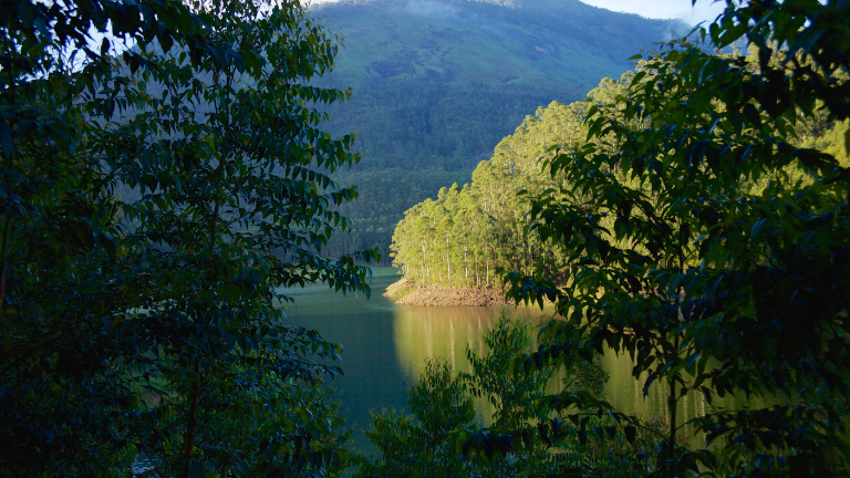 Image Description