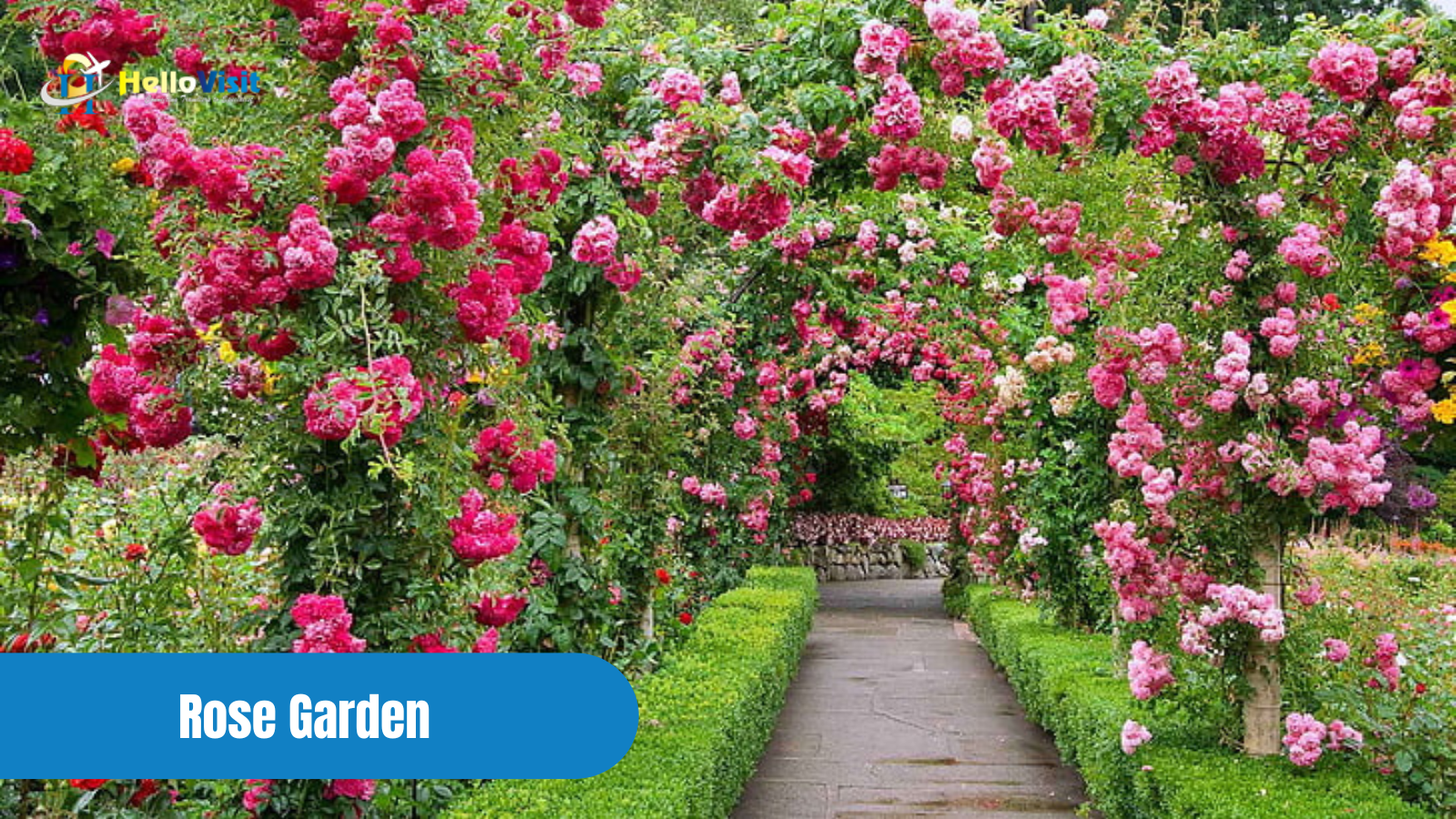 Rose Garden, Kerala