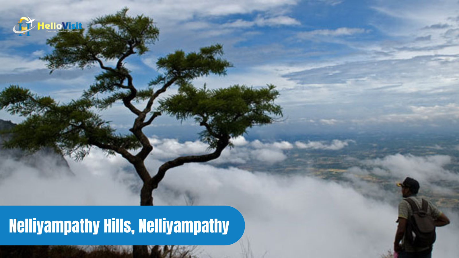 Nelliyampathy Hills, Nelliyampathy