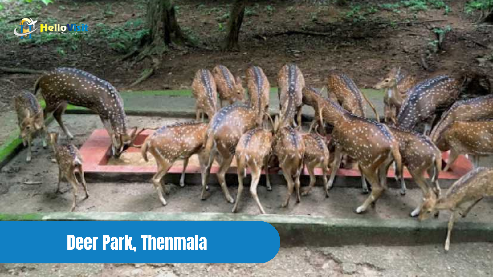 Deer Park, Thenmala