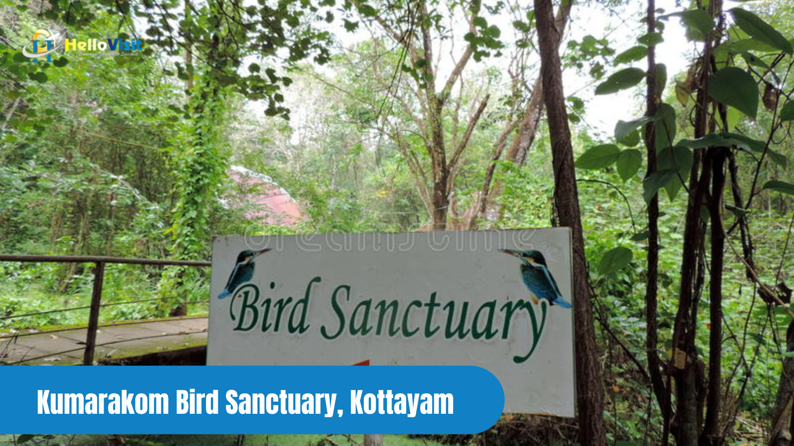 Kumarakom Bird Sanctuary, Kottayam