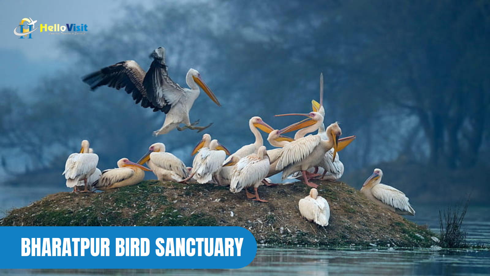 BHARATPUR BIRD SANCTUARY