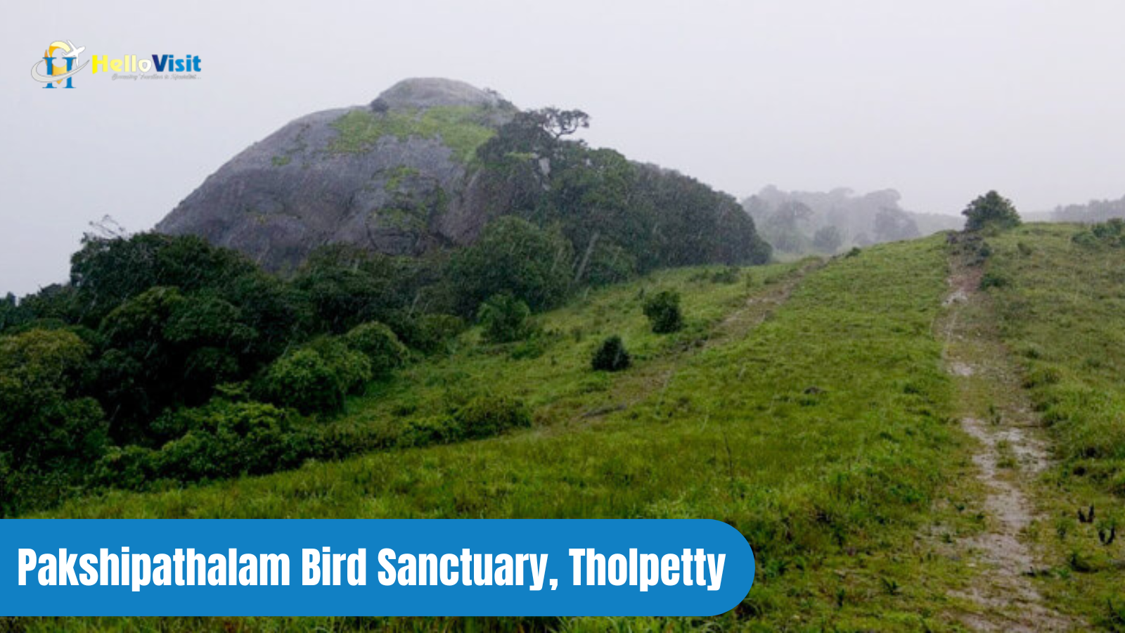 Pakshipathalam Bird Sanctuary, Tholpetty
