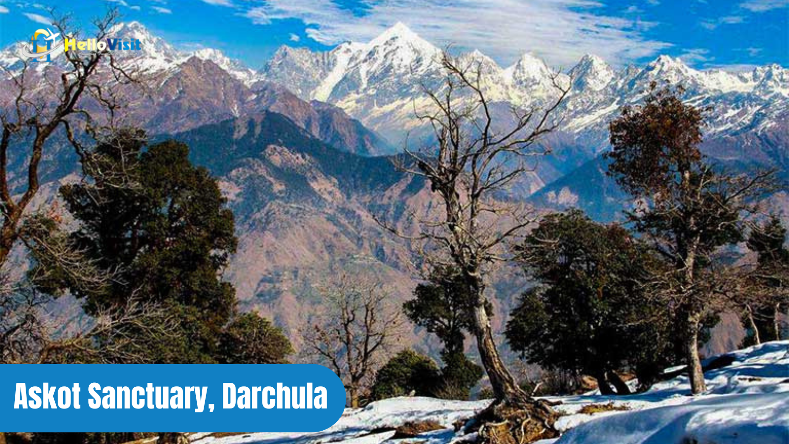 Askot Sanctuary, Darchula