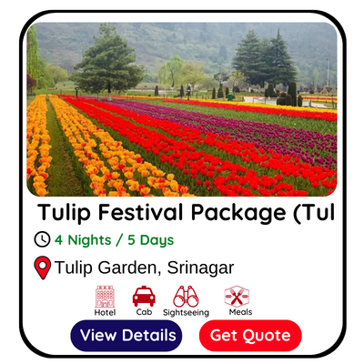 Tulip Festival Package (Tulip Garden Kashmir)