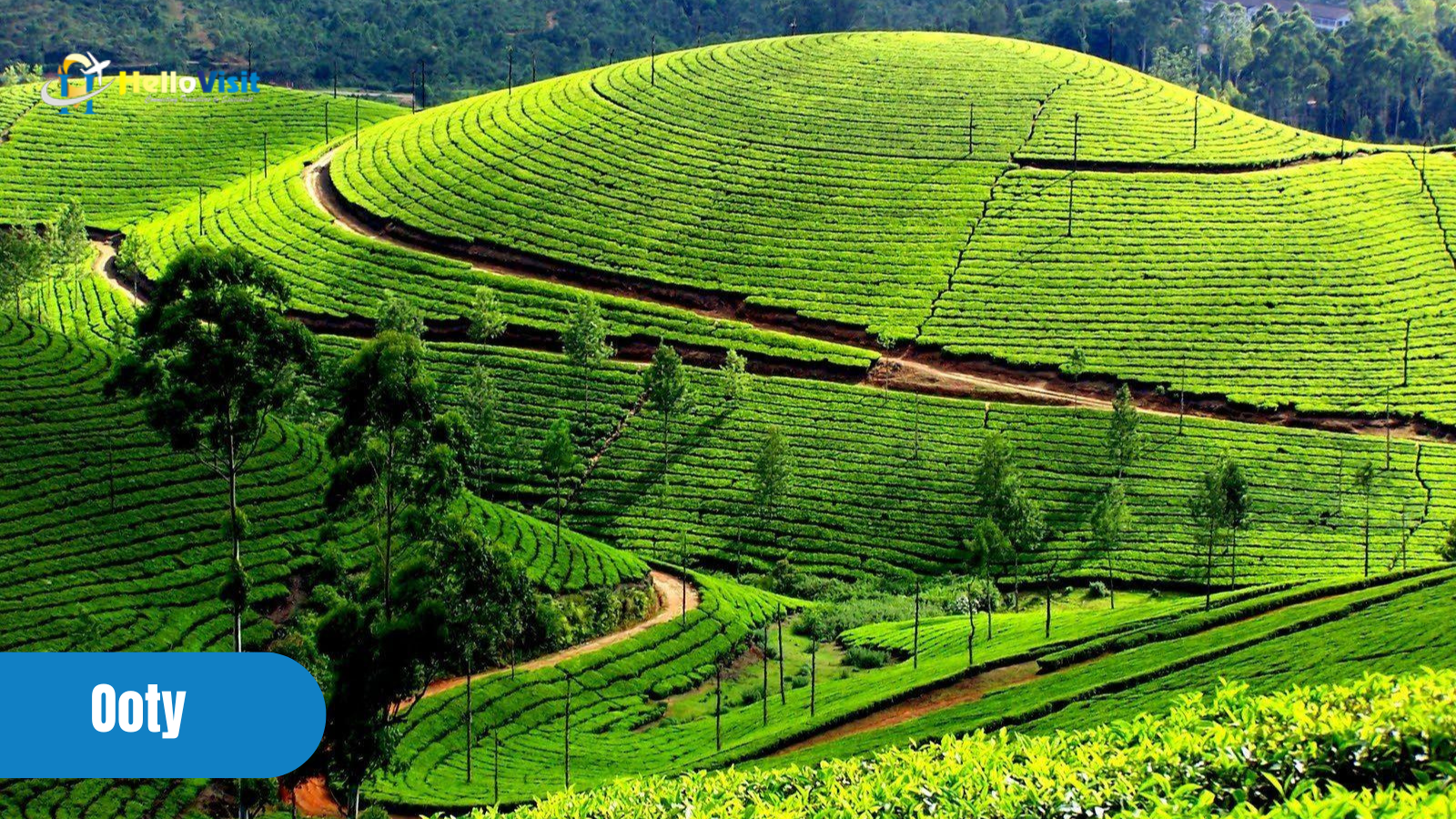 Ooty, Top Hill stations of South India to visit in January