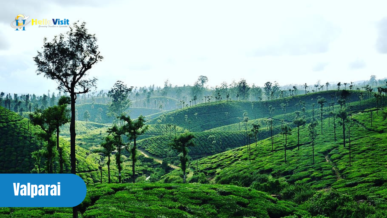 Valparai, Top Hill stations of South India to visit in January
